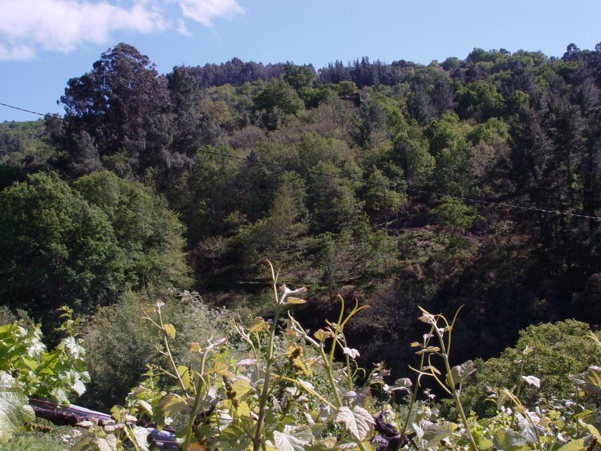 Casa En Vinoas Villa Dış mekan fotoğraf