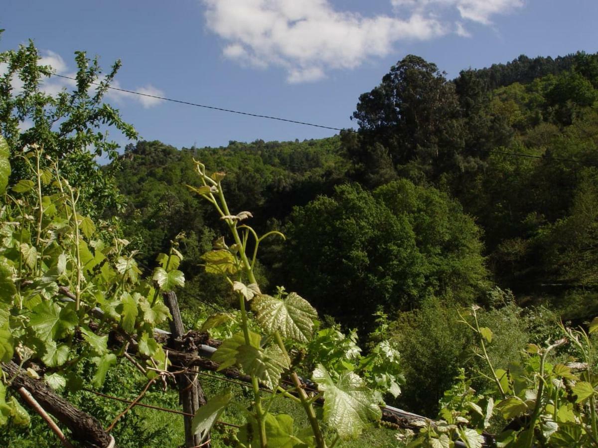 Casa En Vinoas Villa Dış mekan fotoğraf